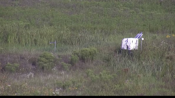 capture-5-23-08-02_09-24-55-39