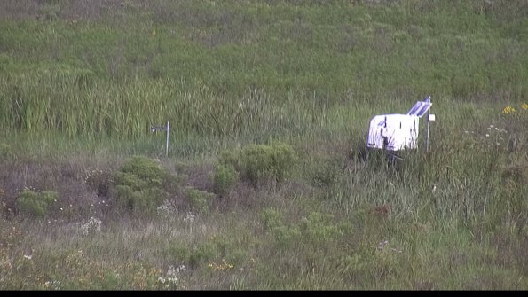 capture-5-23-08-02_09-40-04-37