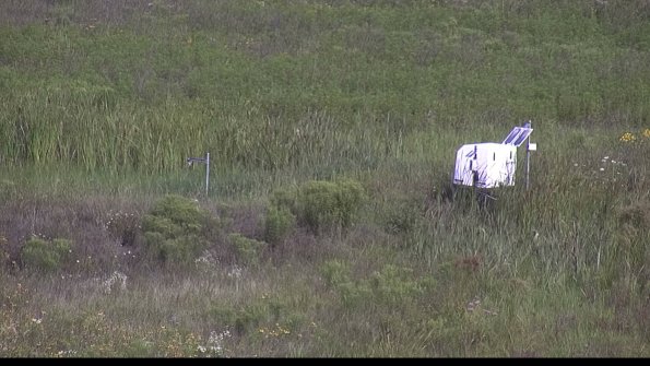 capture-5-23-08-02_09-42-15-30