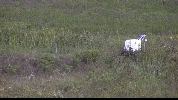 capture-5-23-08-02_09-55-15-39