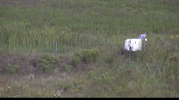 capture-5-23-08-02_09-57-24-58