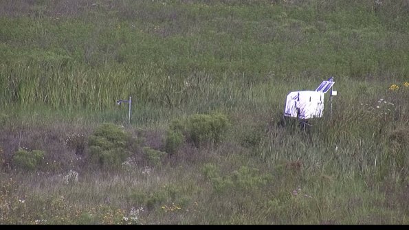 capture-5-23-08-02_10-06-05-44