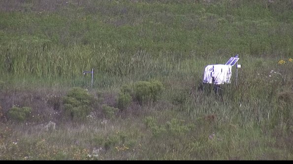 capture-5-23-08-02_10-08-15-47