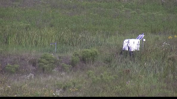 capture-5-23-08-02_10-12-34-49