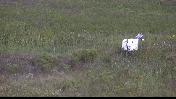 capture-5-23-08-02_10-16-55-35