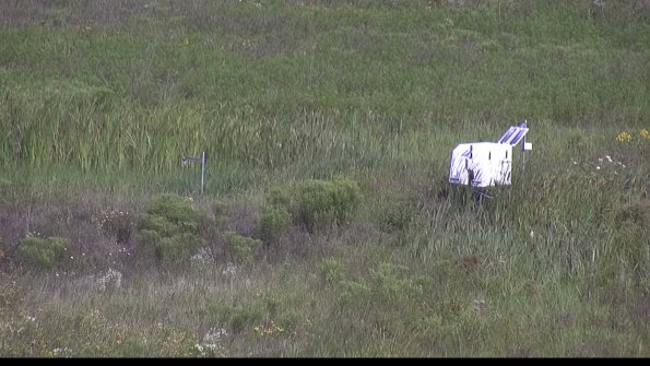 capture-5-23-08-02_10-19-04-58