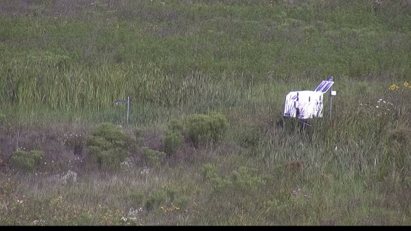 capture-5-23-08-02_10-21-15-45