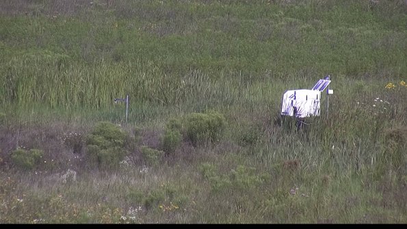 capture-5-23-08-02_10-25-35-44