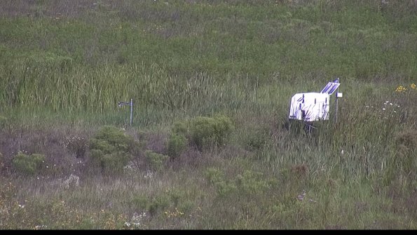 capture-5-23-08-02_10-27-45-41