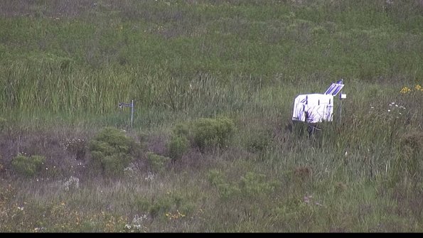 capture-5-23-08-02_10-40-45-29