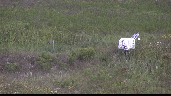 capture-5-23-08-02_10-42-54-32