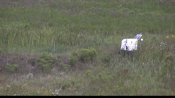 capture-5-23-08-02_10-45-03-55