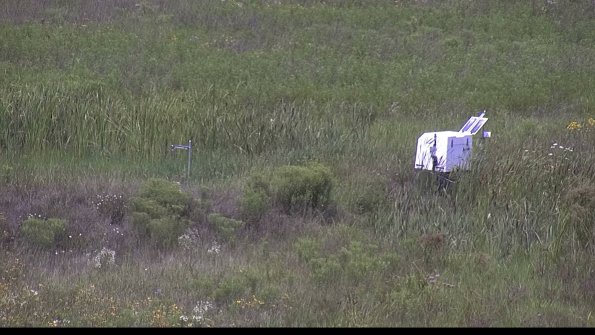 capture-5-23-08-02_12-50-23-31