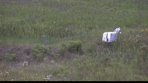 capture-5-23-08-02_13-12-02-58