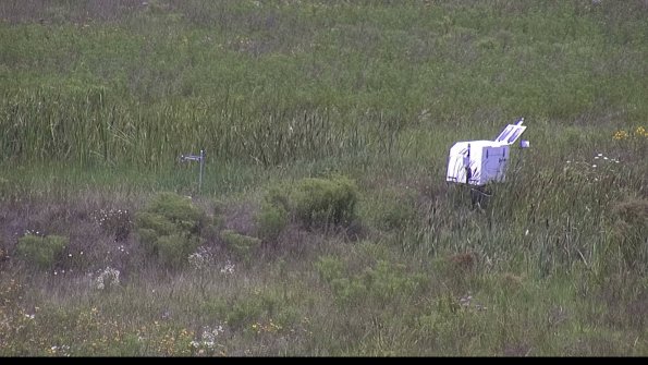 capture-5-23-08-02_13-14-13-31