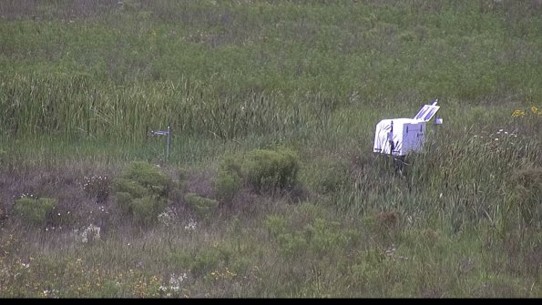 capture-5-23-08-02_13-20-42-57