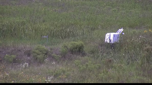 capture-5-23-08-02_13-22-53-33