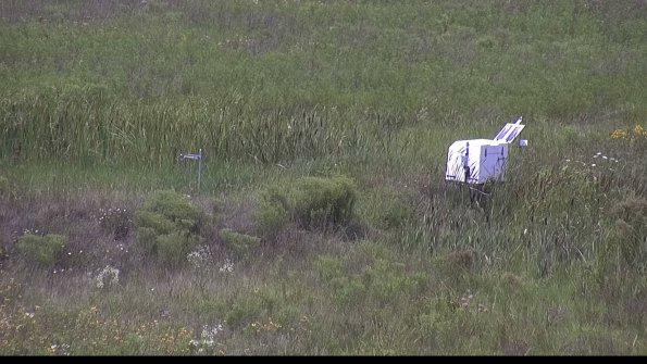 capture-5-23-08-02_13-40-12-31