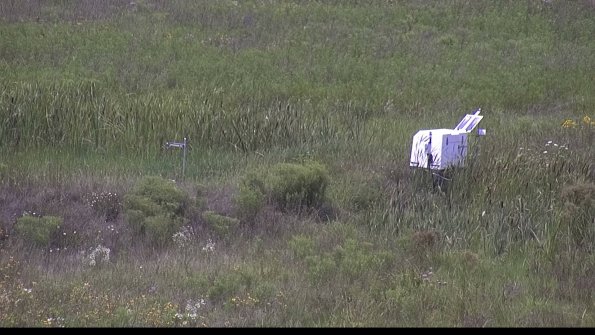 capture-5-23-08-02_13-42-30-32