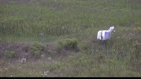 capture-5-23-08-02_13-44-39-35