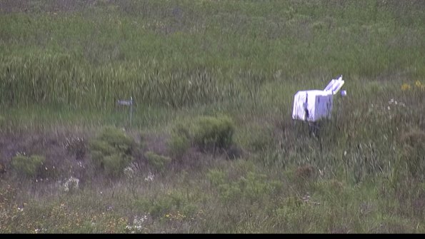 capture-5-23-08-02_13-55-30-13