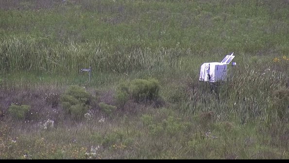 capture-5-23-08-02_13-57-40-19