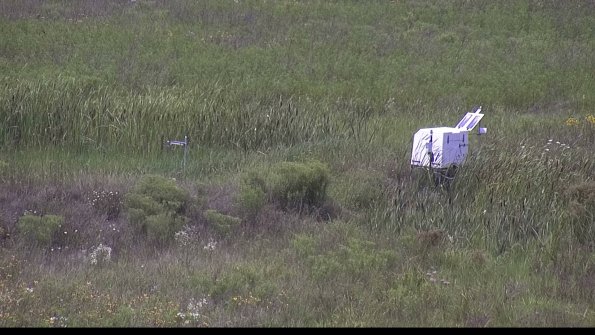 capture-5-23-08-02_14-08-11-03