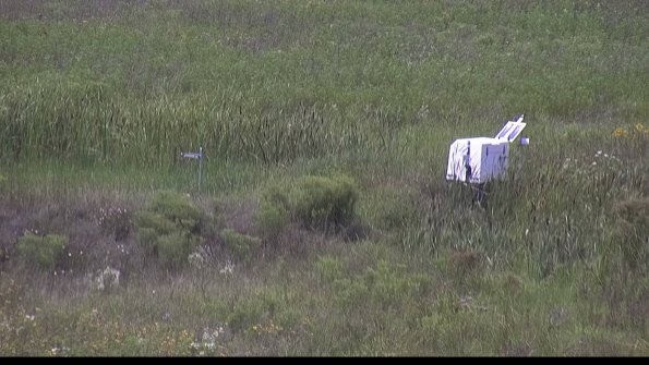 capture-5-23-08-02_14-14-39-95