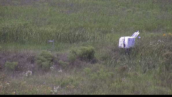 capture-5-23-08-02_14-19-01-15