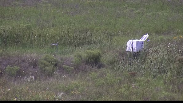 capture-5-23-08-02_14-45-19-90