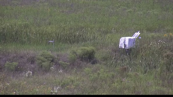 capture-5-23-08-02_14-49-40-03