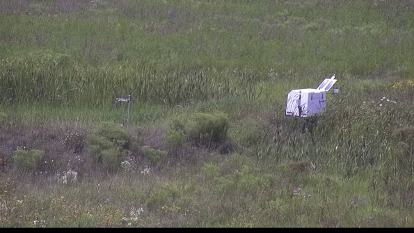 capture-5-23-08-02_14-53-59-99