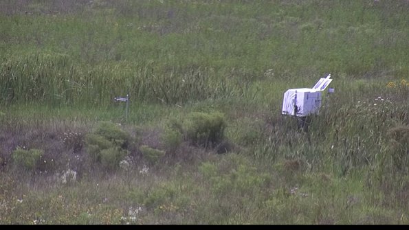 capture-5-23-08-02_15-00-28-95