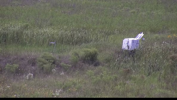 capture-5-23-08-02_15-02-40-01