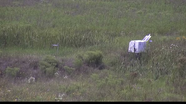 capture-5-23-08-02_15-04-49-94