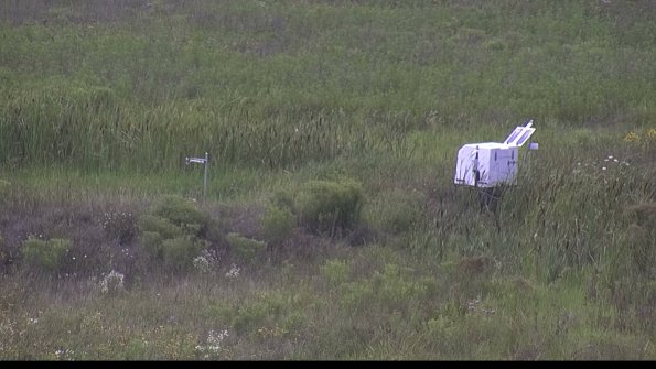 capture-5-23-08-02_15-15-39-99