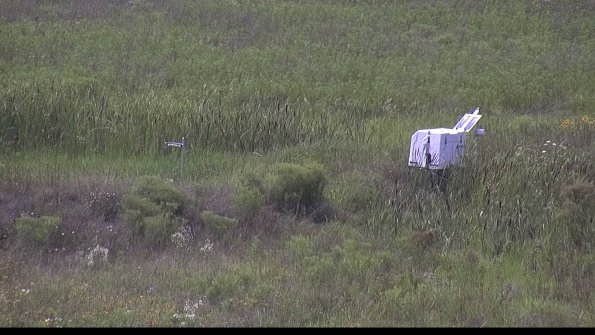 capture-5-23-08-02_15-28-39-91