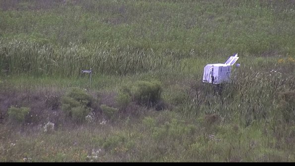 capture-5-23-08-02_15-33-00-00