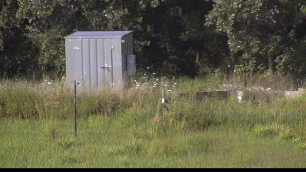 capture-2-23-08-03_17-46-03-55