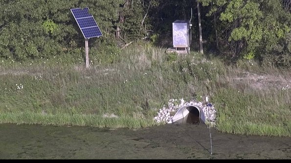 capture-3-23-08-03_18-59-51-86