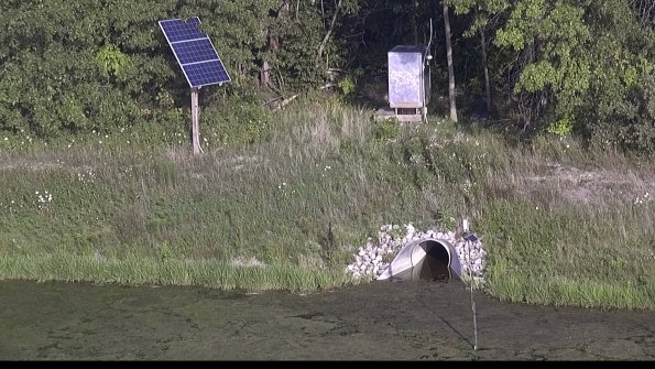 capture-3-23-08-03_19-04-12-32