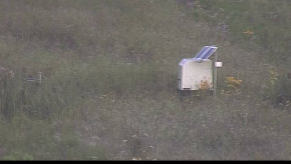 capture-4-23-08-03_07-00-03-42