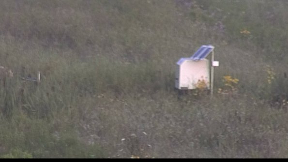 capture-4-23-08-03_07-10-53-54