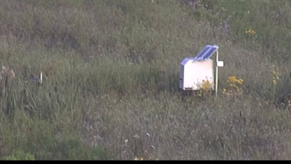 capture-4-23-08-03_07-26-06-33