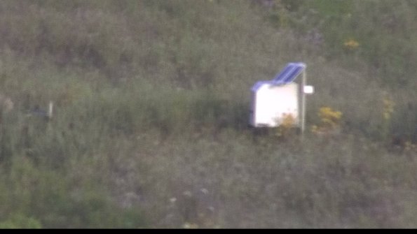 capture-4-23-08-03_07-34-43-55