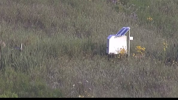 capture-4-23-08-03_07-36-53-54