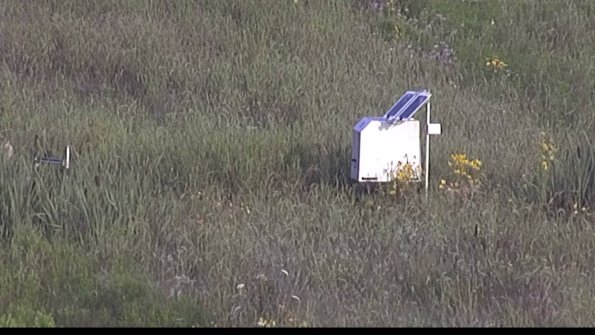 capture-4-23-08-03_07-49-53-46