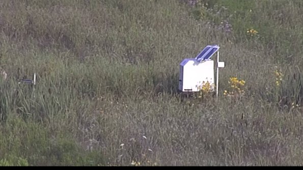 capture-4-23-08-03_07-54-13-59