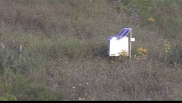 capture-4-23-08-03_07-58-33-38