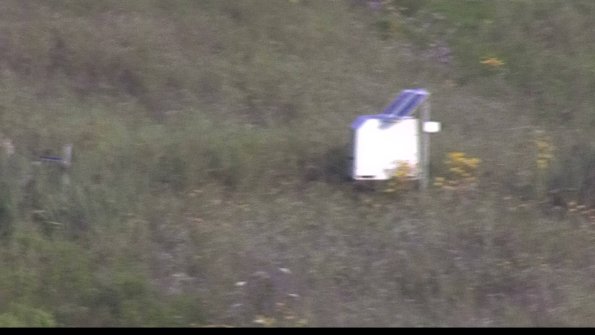 capture-4-23-08-03_08-02-53-38